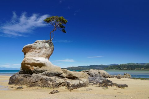 New Zealand's Abel Tasman National Park